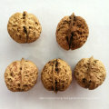 Alibaba high quality new harvest healthy california in bulk walnut